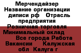 Мерчендайзер › Название организации ­ диписи.рф › Отрасль предприятия ­ Розничная торговля › Минимальный оклад ­ 25 000 - Все города Работа » Вакансии   . Калужская обл.,Калуга г.